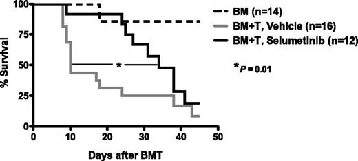 Figure 5. Selumetinib inhibits GVHD in MHC-mismatched murine SCT. BALB/c recipients were irradiated (7.5Gy) on day −1 and infused (on day 0) with 5 × 106 B6 TCD-BM cells and 0.6 × 106 B6 T cells. B6 T cells were incubated with selumetinib or control (DMSO) for 30 minutes at 37°C before adoptive transfer. Murine recipients were administered vehicle or selumetinib (25 mg/kg) once daily via gavage from day 0 through day 7, and analyzed for survival. Engraftment of donor cells in recipient spleen, BM, and thymus was consistently demonstrated in all groups (not shown). Median survival was prolonged in mice receiving selumetinib (median of 34 days) vs control animals (median 10 days in vehicle-treated animals receiving T-replete grafts; P value 0.01 by log rank comparison using the Grehan-Breslow-Wilcoxon test). As expected, median survival was not reached in mice receiving marrow alone). Combined data from 2 independent experiments is shown, based on n = 14 animals (BM only), n = 16 (vehicle), and n = 12 (selumetinib) in total.