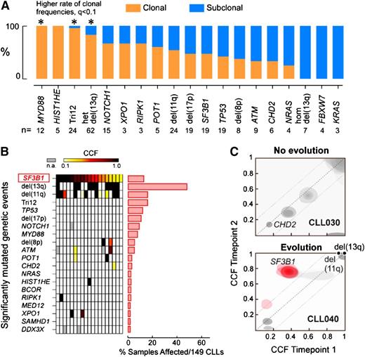 Figure 3. SF3B1 mutation is a predominantly subclonal event in CLL. (A) Percentage of the mutations classified as clonal (orange) and subclonal (blue) for each putative CLL driver, within a cohort of 149 CLL cases. The number of cases (n) affected by each genetic alteration is shown (*Drivers with q value < 0.1 for a higher proportion of clonal mutations compared with the entire CLL drivers set). (B) Analysis of co-occurrence of the 19 SF3B1 mutations within 149 CLL cases with other driver alterations. Top bar shows the color representation of CCF. (C) Joint distributions of CCF values across 2 time points using clustering analysis (see Landau et al for method19). Red denotes a mutation that had an increase in CCF of >0.2 (with probability >0.5). The dotted diagonal line represents CCF values that were identical across the 2 time points. The dotted parallel lines denote the 0.2 CCF interval on either side. Panel A adapted from Landau et al19 with permission.
