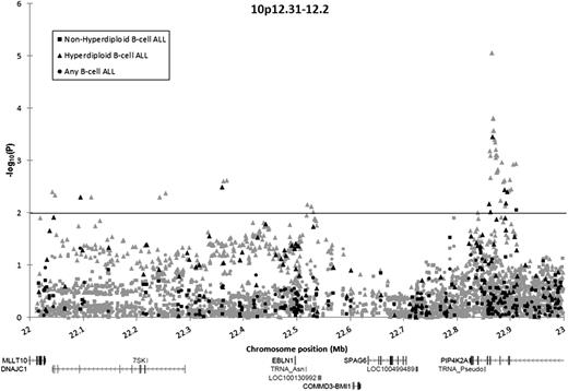Figure 1. Association of SNPs in the BMI1-PIP4K2A locus with B-ALL among Hispanic children, by ploidy. Association of 131 directly genotyped SNPs (black) and 1371 imputed SNPs (gray) with the risk for B-ALL, adjusted for sex, age, and the first 5 principal components. Circles denote associations for children with B-ALL compared with control children. Squares denote associations for children with nonhyperdiploid B-ALL compared with control children. Triangles denote associations for children with hyperdiploid B-ALL compared with control children.
