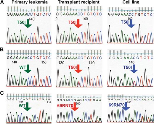 Figure 3. Somatic third site Kras mutations in T-ALL. In cell lines E1 (A) and E3 (B), the single amino acid substitution T50I was present at ∼50% frequency based on relative abundance of sequence reads. It was detected at a similar frequency in the spleens of the secondary recipients used to generate these cell lines and in a single primary recipient. (C) The sequence GAGACC was inserted between amino acids 69 and 70 of Kras in T-ALL cell line Y4. This mutation is present in ∼50% of Kras transcripts in cell line Y4, at a lower frequency in the spleen of the secondary recipient used to generate this cell line, and is not seen in the primary leukemia.