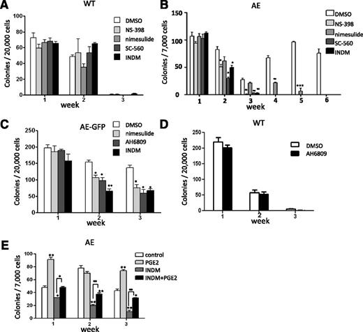 Figure 2. COX inhibitors reduce the extended self-renewal capacity of AE-expressing mouse BM cells through a PGE2-dependent pathway. (A) BM cells isolated from WT mice were cultured in MethoCult M3434. Colonies were scored and the cells were serially replated at 7-day intervals. The presence of COX-2 inhibitor NS-398 (50 μM) or nimesulide (50 μM), COX-1 inhibitor SC-560 (50 μM), and a nonselective COX inhibitor indomethacin (INDM, 50 μM) did not affect colony formation of these cells (ANOVA test; P > .05). (B) BM cells isolated from AE/Mx1-Cre mice were cultured, treated, and scored under the same condition as WT mouse BM cells. COX inhibitors reduced the colony forming units of AE-expressing BM cells. (C) COX inhibitors or PGE2 receptor EP2/EP3 dual antagonist AH6809 (30 μM) showed similar inhibitory effects on the colony forming units of AE-GFP-expressing BM cells. (D) EP2/EP3 dual antagonist AH6809 did not affect colony formation of WT mouse BM cells. (E) Treatment of PGE2 partially abrogates the inhibitory effects of INDM on the colony formation of AE/Mx1-Cre BM cells. These results are representatives of at least 2 independent experiments. Data were shown as mean ± SD; Student t test.*P < .05; **P < .01; ***P < .001.
