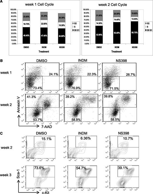 Figure 3. COX inhibitors reduce the percentages of lin-Sca-1+c-Kit+ population in AE-expressing BM cells without inducing apoptosis. The lin− BM cells from AE/Mx1-cre mice were cultured in methylcellulose-based medium in the presence of vehicle (DMSO), INDM (50 μM), or NS-398 (50 μM), and were replated as previously described. These cells were analyzed for cell cycle phases (A), apoptosis (B), and percentages of lin−Sca-1+C-Kit+ cells (C) by flow cytometry after 1 to 3 weeks of treatment. Two independent experiments showed similar results. The results of a duplicate experiment are shown in supplemental Figure 2.