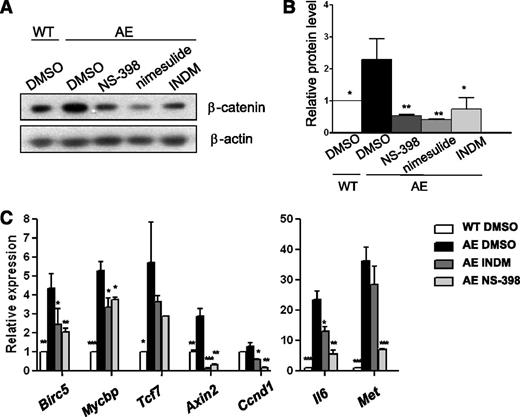 Figure 4. COX inhibitors reduce β-catenin activity in AE-expressing BM cells. (A) Western blot analysis demonstrates that COX inhibitors NS-398, nimesulide, and INDM decreased β-catenin protein levels in AE-expressing mouse BM cells. WT and AE/Mx1-Cre mouse lin− BM cells were cultured with the vehicle (DMSO) or COX inhibitors (50 μM) for 4 weeks. (B) Protein band intensity in (A) was normalized with β-actin. Relative protein level of β-catenin was calculated as fold change compared with WT BM cells in DMSO. In AE/Mx1-Cre BM cells, NS-398, nimesulide, and INDM reduced β-catenin levels to 0.24 ± 0.09-fold, 0.18 ± 0.06-fold and 0.28 ± 0.15-fold of the vehicle control (DMSO), respectively. COX inhibitors also suppressed β-catenin protein expression in AE/Mx1-Cre BM cells after 1 week of treatment (supplemental Figure 4). (C) The expression of β-catenin target genes was measured by real-time RT-PCR and normalized to β-ACTIN expression. Relative expression was calculated as fold change relative to WT vehicle-treated cells (WT DMSO). Data represent mean ± SD; Student t test. *P < .05; **P < .01; ***P < .001 when compared with AE DMSO.