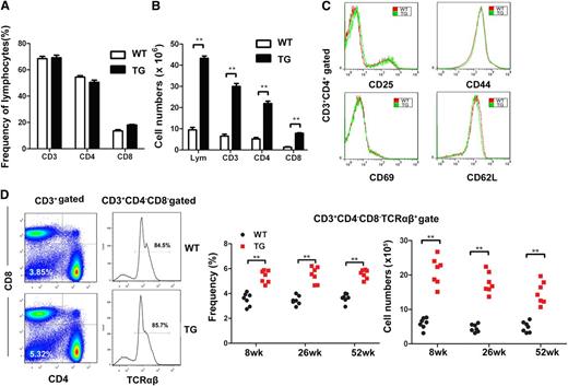 Figure 2. DN T cells are significantly increased in peripheral lymphoid organs. (A) The frequency of T-lymphocyte subsets in dLNs from WT and miR-146a TG mice at age 6 to 8 weeks. (B) The T-cell numbers of indicated lymphocyte subsets in dLNs (n = 4). (C) The expression of activation markers on CD4+ T cells from peripheral LNs by FACS analysis. (D) Increased CD3+CD4-CD8-TCRαβ+ DN T cells in the spleens from TG mice. Both the frequency and cell numbers were increased significantly in TG mice from 8 to 52 weeks. Results shown here are representative of at least 3 independent experiments (WT, n = 5; TG, n = 6). All data are expressed in terms of mean ± standard deviation values. Comparison of means was performed with an unpaired Student 2-tailed t test (**P < .01).