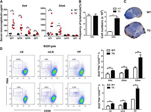 Figure 3. Accumulation of GC B cells, increased serum IgG levels, and spontaneous GC formation in miR-146a TG mice at early ages. (A) The immunoglobulin levels were measured by the Milliplex assay in the sera from TG (n = 7 - 9) and WT (n = 5) mice at age 8 and 52 weeks. (B) The B-cell frequency and numbers in dLNs from 6- to 8-week-old WT and TG mice. (C) Detection of GCs by the immunohistochemistry analysis on dLN sections from WT and TG mice (PNA, brown; hematoxylin, blue). (D) The percentage of B220+PNA+CD38lowGC B cells was determined by FACS in peripheral LNs from 8-, 26-, and 52-week-old mice, as well as in mLNs and PPs from 8-week-old mice (n = 4). All data are expressed in terms of mean ± standard deviation values. Comparison of means was performed with an unpaired Student 2-tailed t test. All data are representative of at least 3 independent experiments (*P < .05, **P < .01).