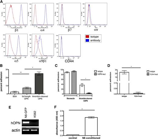 Figure 2. Nalm-6 GFP secrete OPN and express functional OPN receptors. (A) Flow cytometry analysis of Nalm-6 GFP reveals cell surface expression of the OPN receptors β1, α4, α5, and α9β1, but no expression of the β7, αV or CD44 receptors. (B) Nalm-6 GFP adhere strongly to thrombin-cleaved OPN (tcOPN) in vitro, but weakly to full-length hOPN, *P = .015, **P = .035. (C) Nalm-6 GFP adhesion to the α4β1 ligand fibronectin in vitro is unaffected by OPN neutralization, whereas Nalm-6 GFP adhesion to tcOPN is specifically inhibited by OPN-neutralizing antibodies, *P < .001. (D) Anti-VLA-4 receptor antibodies inhibit almost all Nalm-6 GFP adhesion to tcOPN in vitro, demonstrating that VLA-4 is the major integrin receptor responsible for Nalm-6 tcOPN adhesion, *P < .0001. (E) RT-PCR analysis shows human OPN (hOPN) mRNA transcripts in Nalm-6 GFP. K562, an AML cell line, was used as a negative control. (F) hOPN ELISA analysis of conditioned media from Nalm-6 GFP demonstrates their secretion of OPN, *P < .001.