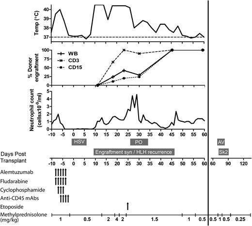 Figure 1. Clinical course of XIAP-deficient patient with active HLH treated with antibody-based minimal-intensity conditioned stem cell transplant. Time course of conditioning, immunosuppression, neutrophil engraftment, donor chimerism, fevers, and significant complications during the first 140 days following stem cell transplant are shown. Total doses of conditioning drugs were as follows: alemtuzumab, 1 mg/kg; fludarabine, 150 mg/m2; cyclophosphamide, 1 g/m2; anti-CD45 monoclonal antibodies, 1600 µg/kg each of YTH24/54 antibodies; and etoposide, 150 mg/m2. AV, adenoviremia requiring treatment with cidofovir; HSV, herpes simplex virus stomatitis and viremia; mAbs, monoclonal antibodies; PO, pulmonary edema as part of a capillary leak syndrome requiring ventilatory support; Sk2, grade 2 skin graft-versus-host disease treated by increased prednisolone dose; syn, syndrome.