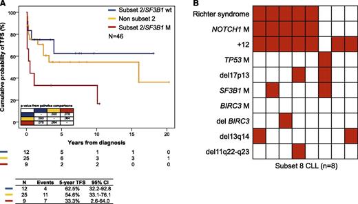 Figure 2. Clinical impact of the genotype in stereotyped BCR subset 2 and subset 8 CLL. (A) Kaplan-Meier estimates of TFS according to SF3B1 mutation status in CLL utilizing the IGHV3-21 gene. (B) Heat map showing the relationship between genetic lesions and Richter syndrome transformation in subset 8 CLL. Rows correspond to identical variables, and columns represent individual patients color-coded based on the molecular status (white, absence of the variable; red, presence of the variable).