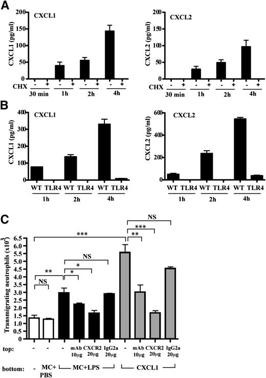 Figure 3. Mast cells release CXCR2-binding neutrophil chemoattractants. (A) Time course of CXCL1 and CXCL2 ± CHX synthesis by purified mast cells; mean ± SEM of 4 experiments. (B) Time course of CXCL1 and CXCL2 synthesis by purified WT and TLR4−/− mast cells; mean ± SEM of 2 experiments. (C) Supernatants from purified mast cells stimulated with PBS (MC + PBS) or LPS (MC + LPS) for 4 hours tested for neutrophil chemoattractant activity and compared with recombinant CXCL1. Neutrophils were preincubated with anti-CXCR2 or control IgG2a mAbs; mean ± SEM of 3 experiments is shown.