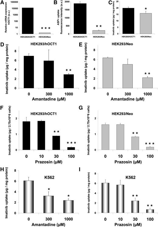 Figure 1. IUR of imatinib in HEK293 and K562 cells. (A) OCT1 mRNA expression levels in arbitrary units (a.u.) in OCT1-transfected HEK293 cells (HEK293/hOCT1) compared with mock (pcDNA3)-transfected control cells (HEK293/Neo). (B) HEK293/hOCT1 cells display increased uptake of ASP+, a fluorescent substrate of OCT1, confirming that OCT1 is functional. ASP+-associated fluorescence (a.u.) was measured by FACScan flow cytometry as described previously.11 (C) The IUR of imatinib was slightly (∼25%), but significantly (P < .05), increased in the HEK293/hOCT1 cells compared with the HEK293/Neo control cells. Cells were exposed to 30 µM of imatinib for 1 hour. Effect of amantadine (D,E,H) and prazosin (F,G,I) on the IUR of imatinib in HEK293/hOCT1 (D,F), HEK293/Neo control (E,G) cells and K562 cells (H-I). Cells were pretreated for 30 minutes with the indicated concentrations of inhibitor followed by an additional 30 minutes of exposure of the cells to 10 µM of imatinib. Uptake data are expressed as the mean ± standard deviation (derived from at least 3 replicates), and the Student t test was used to detect significant differences as indicated by an asterisk (*P < .05, **P < .01, ***P < .001) in IUR between HEK293/hOCT1 and HEK293/Neo cells (C) or between the IUR ± inhibitor (D-I). Amantadine showed a maximal inhibition of ∼65% at 1000 µM, whereas prazosin markedly inhibited the IUR of imatinib by ∼50% at 30 µM and up to ∼90% at 100 µM. It should be noted that the inhibitory effect of these compounds on the IUR of imatinib in HEK293 cells did not differ between OCT1-transfected and Neo control cells and was comparable with that seen in K562 cells having low OCT1 expression. Apparently, the inhibitory effects of these compounds do not depend on the level of OCT1 expression.