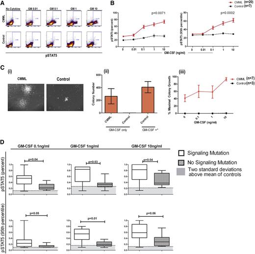 Figure 1. GM-CSF–dependent pSTAT5 hypersensitivity is a feature of CMML. (A) As shown in a representative CMML sample and healthy control sample stimulated with increasing doses of GM-CSF, a distinct population of CMML primary cells becomes pSTAT5-positive at 0.1 ng/mL of GM-CSF, which does not occur in normal controls. The percentage of positive cells is indicated on the flow cytometry dot plot. (B) Bone marrow samples from 20 unique CMML patients (solid red line) were compared with 7 normal healthy controls (broken black line) after treatment with increasing doses of GM-CSF (0.01, 0.1, 1, and 10 ng/mL). All pSTAT5 flow cytometry data are expressed relative to the maximal cellular response. Data were normalized using square root transformation. P values are indicated where significant differences were detected using linear regression analysis. (Ci) Representative colonies from a CMML sample and normal control after treatment with 10 ng/mL of GM-CSF only. (Cii) Bar graph of colony numbers generated from CMML (n = 7) and healthy donors (n = 3) with GM-CSF (10 ng/mL) alone. As a positive control, GM-CSF (MethoCult H4034 Optimum), IL-6, IL-3, erythropoietin, and stem cell factor (GM-CSF+*) were added to demonstrate the capacity for colony formation by healthy control bone marrow. (Ciii) Spontaneous colonies without the addition of GM-CSF (0 ng/mL of GM-CSF) and the percent maximum colony-forming units in the presence of GM-CSF alone at increasing doses (0.1, 1, and 10 ng/mL) from CMML patients (solid red line) and controls (broken black line). Error bars represent standard error of the mean in each group. (D) Samples were placed in the signaling mutation group if a mutation in CBL (n = 5), JAK2 (n = 0), KRAS (n = 0), and/or NRAS (n = 2) was identified (n = 7). GM-CSF–dependent pSTAT5 response was compared with those without a signaling mutation (n = 11).