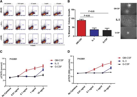 Figure 2. GM-CSF–dependent pSTAT5 hypersensitivity is cytokine-specific. (A) Representative flow dot plots from CMML samples stimulated with GM-CSF, IL-3, or G-CSF at 0.01, 0.1, 1, and 10 ng/mL. The percentage of pSTAT5-positive cells is indicated in each dot plot. (B) Representative colonies in methyl cellulose generated after treatment with G-CSF, IL-3, and GM-CSF at 10 ng/mL alone. (C) Percentage and (D) 95th FI of pSTAT5-positive cells from CMML patients treated with increasing doses (0.01, 0.1, 1, and 10 ng/mL) of GM-CSF, IL-3, or G-CSF. All pSTAT5 flow cytometry data are expressed as fold change from the cohort’s highest pSTAT5 level. Data were normalized using square root transformation. Significant P values are indicated using linear regression analysis.