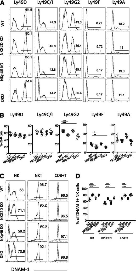 Figure 2. Differences in the NK-cell receptor repertoire in NKG2D-deficient mice. (A) Representative FACS histograms and (B) percentages of splenic NK cells expressing Ly49D, Ly49C/I, Ly49G2, Ly49F, and Ly49A are shown for 5 mice per genotype. Data are representative of at least 5 independent experiments. (C) Representative FACS histograms depicting DNAM-1 expression on splenic NK cells (CD3-gfp+), NKT cells (CD3lo, NK1.1+), and CD8+ T cells from 1 mouse of each indicated genotype (representative of at least 10 individual mice/genotype). (D) Percentages of DNAM-1–expressing NK cells in BM, spleen, and liver of 5 mice per genotype. Data are representative of at least 4 individual experiments.