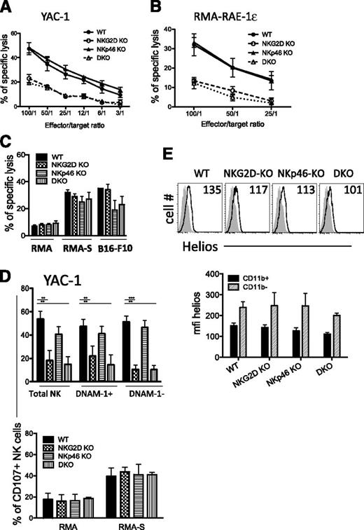 Figure 4. Killing activity from mutant NK cells is intact. (A-B) Killing activity of d5-activated NK cells was assessed in a 35S release assay against YAC-1 and RMA-RAE ε target cells at different effector/target ratios. (C) Killing activities of d5-sorted NK cells against RMA, RMA-S, and B16-F10 targets (E/T ratio = 10/1). Results (mean ± SD) are representative of 2 to 3 independent experiments. (D) Percentages of CD107a+ NK cells upon 5-hour incubation with YAC-1 (upper panel) and RMA and RMA-S cells (lower panel). Results are representative of 2 independent experiments. (E) Representative FACS histograms depicting Helios expression in CD11b+ NK cells from splenocytes of each genotype. Helios staining corresponds to the plain lines, whereas isotype control is depicted as the shaded histograms (upper panel). The mean fluorescence intensity of intracellular Helios staining among CD11b+ and CD11b– NK cells is shown in the lower panel (n = 3-5 mice/genotype). The data are representative of 3 experiments.