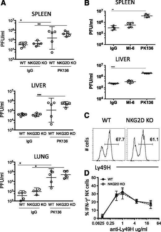 Figure 7. NK-cell resistance to MCMV infection is not enhanced in the absence of NKG2D. (A) B6 NKG2D-KO and WT littermates were treated with anti-NK1.1 or control IgG before infection with MCMV (1 × 106 PFU intraperitoneally); virus titers were assessed in the liver, spleen, and lungs 4 days post infection. Data are representative of 3 independent experiments. (B) Groups of WT mice were treated with 250 μg of anti-NK1.1 (PK136), anti-NKG2D (MI-6), or control IgG before infection with MCMV (3 × 106 PFU intraperitoneally) of MCMV; virus titers in the spleen and liver were assessed 3 days post infection. Data are representative of 2 independent experiments. All results are expressed as geometric mean ± SD of 5 mice per group. (C) Representative FACS profile of Ly49H expression on NK cells from WT and NKG2D-KO mouse. (D) Percentages of IFN-γ–producing NK cells upon stimulation with anti-Ly49H at the indicated concentrations. Data are representative of 2 of 3 independent experiments.
