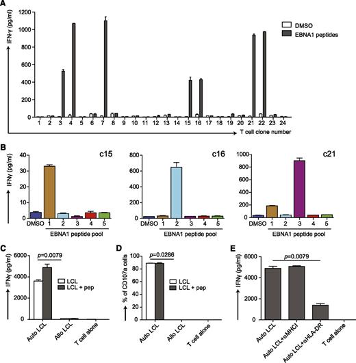 Figure 7. Characterization of T-cell responses induced by vaccination with αDEC-205-EBNA1 and polyICLC in huNSG mice. (A) αDEC-205-EBNA1 plus polyICLC vaccination primes specific T cells in huNSG mice. HuNSG mice were vaccinated with 5 μg of IgG-EBNA1 or αDEC-205-EBNA1 with the use of 50 μg of polyICLC as adjuvant and boosted with the same dose of antibodies and adjuvant 4 weeks later. The mice were euthanized 6 to 8 weeks after the boost. T-cell clones were generated by limiting dilution cloning of specific T cells after an IFN-γ capture assay after restimulation with 5μM EBNA1 peptide library for 12 hours. IFN-γ secretion was analyzed by ELISA in the supernatant. (B) The specificity of 3 expanded T-cell clones (c15, c16, c21) are shown after restimulation with 5 different peptide subpools of EBNA1 by measuring IFN-γ secreted into the supernatant. Data are represented as mean ± SD from duplicate or triplicate wells of IFN-γ ELISA. (C) The EBNA1 specific T-cell clone c16 recognizes autologous LCLs. Autologous LCLs (Auto LCL) or allogeneic LCLs (Allo LCL), unmanipulated or loaded for 1 hour with 5μM EBNA1 peptides, were incubated with the expanded EBNA1-specific T-cell clone c16 (E:T=1:2), T-cell activity was determined after 18 hours by measuring released IFN-γ by ELISA. (D) Same as in panel C but analyzing T-cell function by CD107a staining after 6 hours of coculture. (E) The T-cell response of clone c16 is MHC class II-restricted. T-cell clone c16 was exposed to the autologous LCLs in the absence or presence of the indicated HLA blocking antibodies and IFN-γ was measured in the supernatants by ELISA. One representative experiment of 2 is shown. Statistical analysis was performed by Mann-Whitney U tests, and data are represented as mean ± SD.
