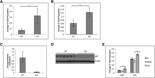 Figure 3. Accumulation of LSKF cells in the absence of p65 is due to cell intrinsic factors. (A) 5 × 106 whole bone marrow cells from wild-type or p65hem−/− mice were injected into lethally irradiated recipients. Twenty weeks after transplant, the frequency of bone marrow LSKF cells was monitored by flow cytometry (n = 5). All recipients displayed >98% CD45.2+ peripheral blood cells. (B) 3 × 106 whole bone marrow cells from Mx1-Cre+p65fl/fl mice or littermate controls were transplanted into lethally irradiated recipients. Four weeks after transplant (engraftment of >95% CD45.2 cells), recipients were injected with 250 μg poly(I:C) 3 times, every other day. Twenty-nine weeks after induction, the frequency of bone marrow CD45.2+ LSKF cells was analyzed by flow cytometry (n = 6). p65 expression was examined in whole bone marrow cells from animals receiving poly(I:C) by (C) quantitative reverse transcriptase-polymerase chain reaction and (D) immunoblot. *P ≤ .005. (E) Bone marrow was harvested from nontransgenic animals treated with an IKKβ inhibitor (compound A) 16 hours after the last injection and analyzed by flow cytometry (n = 3 NT, n = 6 DMSO and CpA).