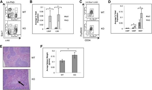 Figure 4. Loss of p65 results in the accumulation of HSPCs in the spleen. (A) Splenocytes from wild-type or p65hem−/− mice were analyzed for HSC frequency using flow cytometry. (B) The average number of cells per genotype is displayed (n ≥ 7). (C) Myeloid progenitors from wild-type or p65hem−/− mice were analyzed by flow cytometry. (D) The average number of cells per genotype is displayed (n ≥ 7). (E) Spleens from wild-type or p65hem−/− mice were stained with hematoxylin and eosin for histological analysis. The arrow indicates a region of extramedullary hematopoiesis. Image is representative of staining from 3 different animal per genotype. (F) Average weight of spleens from wild-type or p65hem−/− mice are displayed (n ≥ 10). *P ≤ .005.