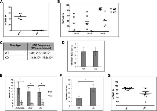 Figure 5. Deletion of p65 greatly reduces the repopulation ability of HSCs. (A) 1 × 106 test cells (CD45.2) from wild-type or p65hem−/− mice were injected into lethally irradiated recipients along with 1 × 106 healthy competitor cells (CD45.1). Engraftment was determined by virtue of CD45.1 and CD45.2 markers on peripheral blood cells (and bone marrow, data not shown) of recipients 20 weeks after transplant. (B) Varying numbers of test cells (CD45.2) from wild-type or p65hem−/− mice were injected into lethally irradiated recipients along with 2 × 105 healthy competitor cells (CD45.1). Engraftment was determined by virtue of CD45.1 and CD45.2 markers on peripheral blood cells (and bone marrow, data not shown) of recipients 20 weeks after transplant. (C) The frequency of functional HSCs was calculated using L-Calc software. (D) 2 × 107 whole bone marrow cells from wild-type or p65hem−/− mice were injected into the lateral tail vein of lethally irradiated mice. Engraftment of donor cells in the bone marrow of recipients was analyzed 48 hours after transplant (n = 4). (E) Apoptosis of HSPCs from p65hem−/− mice or littermates was analyzed by Annexin V staining (n ≥ 7). (F) Wild-type or p65hem−/− mice were injected with EdU 18 hours prior to harvest, and the proliferative index of HSPCs was analyzed by flow cytometry (n = 5). (G) Bone marrow was isolated from primary recipients reconstituted with 106 test cells and 105 competitor cells (B), and then 3 × 106 cells were injected into lethally irradiated secondary recipients. Engraftment was monitored 20 weeks after transplant. (n = 2 donors per group with 85% to 90% CD45.2+ cells, 10 recipients per group). *P ≤ .005.