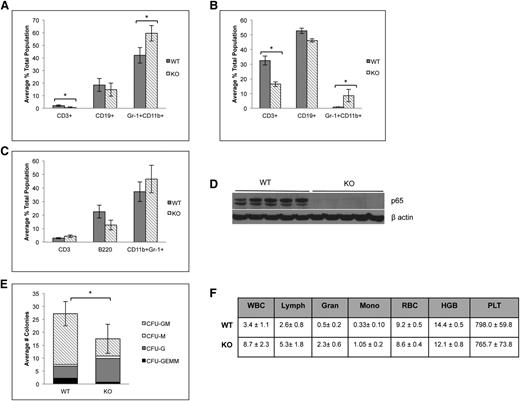 Figure 7. Absence of p65 alters the differentiation of HSPCs. (A) Bone marrow or (B) spleens of p65hem−/− mice or wild-type controls were analyzed for the frequency of lineage-committed cells by flow cytometry (n ≥ 7). (C) 5 × 106 whole bone marrow cells from p65hem−/− mice or littermate controls were transplanted into lethally irradiated recipients. Twenty weeks after transplant, bone marrow was harvested, and the frequency of lineage-committed cells was analyzed by flow cytometry (top; n = 5). All recipients displayed >98% engraftment by CD45.2 cells. (D) Bone marrow was analyzed for the expression of p65 by immunoblotting. (E) One hundred LSKF cells were cultured in methylcellulose media with cytokines for 7 days. The average number of colonies per well is displayed. Data are representative of 3 separate experiments. *P < .005. (F) A complete blood panel was performed on peripheral blood collected via cardiac puncture from p65hem−/− and wild-type counterparts (n ≥ 7).