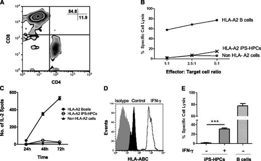 Figure 4. iPS-HPCs are not susceptible to allogenic CTLs in vitro. (A) In vitro–generated HLA-A2–specific CTLs were mostly CD8+. (B) To determine the susceptibility of the iPS-HPCs to CTL cytotoxicity, a CTL cytotoxicity assay was performed. HLA-A2–specific CTLs were used as effector cells. iPS-HPCs (HLA-A2), immortalized B cells (HLA-A2–expressing positive control), and non–HLA-A2 immortalized B cells served as target cells. iPS-HPCs show very low susceptibility to killing by allogenic cytotoxic T cells. ***P < .001. As expected, HLA-A2 immortalized B cells were lysed. (C) To further study the interaction of HPCs and HLA-A2–specific CTLs, IL-2 release by CTLs was measured by the ELISPOT assay following stimulation of the CTLs with iPS-HPCs (HLA-A2), immortalized B-cells (HLA-A2–expressing positive control), and non–HLA-A2 cells (negative control). iPS-HPCs failed to activate CTLs in a time-dependent manner (mean ± SD). (D) To upregulate MHC-I expression by iPS-HPCs, HPCs were stimulated with IFN-γ for 48 hours. iPS-HPCs were harvested, and the expression of MHC-I molecules was analyzed. IFN-γ (empty overlay) upregulated expression of MHC-I molecules by HPCs compared with untreated iPS-HPCs (dark). Gray represents the isotype control. (E) After IFN-γ treatment, iPS-HPCs showed significantly increased susceptibility to CTL killing compared with untreated cells (mean ± SD).