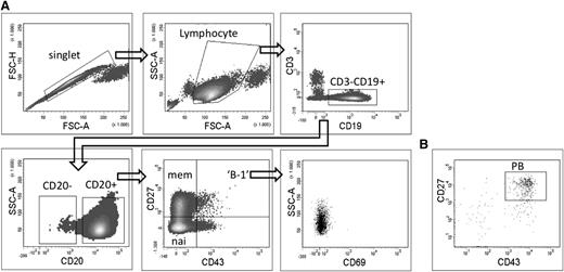 Figure 1. Sorting strategy of different B-cell subpopulations starting from CD19+-enriched B cells. CD19+-enriched B cells were stained with CD19-PE, CD3-Pe-Vio770, CD20-APC-eFluor780, CD43-FITC, CD27-APC, and CD69-PeCy5. (A) Doublets were excluded based on forward scatter (FSC)-H and FSC-A profile, cells with lymphocyte morphology were gated on FSC-A vs SSC-A profile, T cells were excluded by gating CD3− cells. Naive B cells (nai) are defined as CD3−CD19+CD20+CD27−CD43−, memory B cells (mem) as CD3−CD19+CD20+CD27+CD43−, the proposed B-1 cells as CD3−CD19+CD20+CD27+CD43+CD69−. (B) Plasmablasts (PB) were gated as CD3−CD19+CD20−CD27+CD43+ with the plot showing CD3−CD19+CD20− cells as gated on the lower left plot of (A).