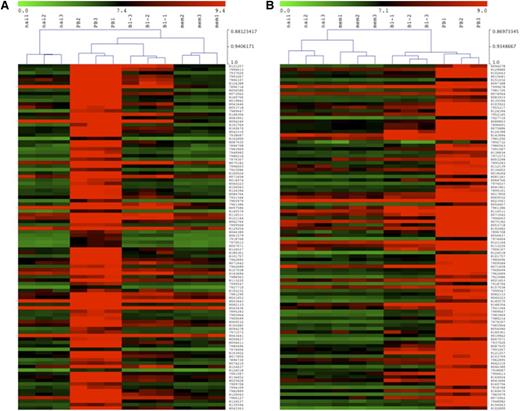 Figure 4. Gene expression profiles of naive, memory, B-1 cells, and plasmablasts. The gene expression profile of purified B-cell subsets as defined in Figure 1 was determined and clustering analysis on log2-transformed normalized expression values is shown (red/green scale bar). (A) Dendrogram of hierarchical clustering of different B-cell subpopulations based on the top 100 overexpressed genes discriminating plasmablasts from memory B cells on a red/green map display for over- and underexpressed genes. The scale ranges from 0 (green) to 9.4 (red). (B) Dendrogram of hierarchical clustering of different B-cell subpopulations based on the top 100 overexpressed genes discriminating plasmablasts from the proposed B-1 cells on a red/green map display for over- and underexpressed genes. The scale ranges from 0 (green) to 9.0 (red).