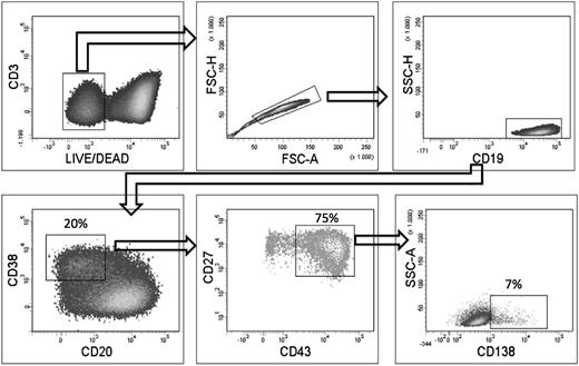 Figure 5. In vitro generation of CD19+CD20−CD38+CD27hiCD43hiCD138+/− cells from proposed B-1 cells. The proposed B-1 cells were isolated as described in Figure 1 and were cultured for 5 days in the presence of R-848, IL-2, IL-10, IL-15, and IL-6. After culture, cells were stained for Live/Dead Fixable Aqua, CD19, CD3, CD20, CD27, CD43 CD38, and CD138, and analyzed by flow cytometry. Plots shown are from a representative experiment of 3.