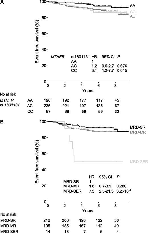 Figure 4. Association of the MTHFR rs1801131 genotype (A) and MRD status (B) with EFS. HR, hazard ratio.