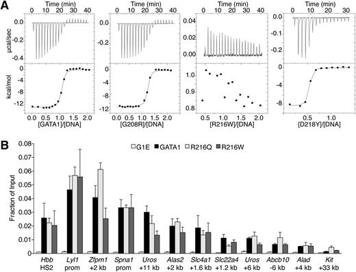 Figure 4. Analysis of GATA1 mutations for DNA binding. (A) ITC data showing the titration of wild-type or indicated mutant versions of the GATA1 NF into a 16-bp oligonucleotide containing a GATC motif. (B) Anti-GATA1 ChIP in G1E cells expressing wild-type or mutant GATA1 after 24 hours of E2 treatment using primers spanning single (Hbb HS2) or palindromic (all others) motifs. All error bars denote SEM (n = 3).