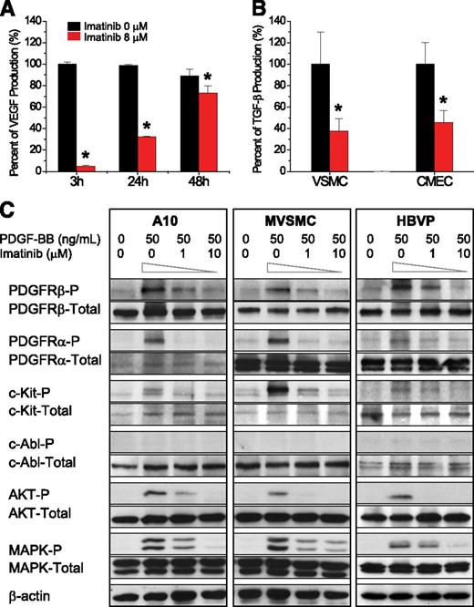 Figure 6. Imatinib blocked angiogenic pathways in vascular mural cells. (A) Effect of imatinib on VEGF secretion from VSMCs at 3, 24, and 48 hours after treatment. (B) Effect of imatinib on TGF-β secretion from VSMCs and cardiac microvascular endothelial cells (CMECs) at 48 hours after treatment. (C) Effect of imatinib on PDGF-BB–induced phosphorylation of PDGFRα, PDGFRβ, c-Kit, c-Abl, AKT, and ERK1/2 by immunoblot of VSMCs and pericytes in culture.