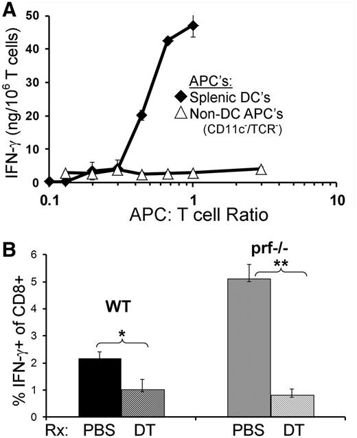 Figure 2. DCs are the principle cell type presenting antigen and driving T-cell activation 1 week after LCMV infection in WT and prf−/− mice. (A) LCMV-specific CD8+ effector T cells (P14 transgenic) were cultured at the indicated ratios with either purified DCs (CD11c+) or non-DC APCs (depleted of CD11c+ and TCR+ cells) obtained from the spleens of prf−/− mice 6 days after LCMV infection. Production of IFN-γ by effector T cells was measured in culture supernatants at 24 hours. IFN-γ production was not detected when APCs were cultured with T cells of irrelevant specificity (OT1) (see Figure 3). (B) WT and prf−/− mice were irradiated and reconstituted with prf+/+/CD11cDTR or prf−/−/CD11cDTR, bone marrow, respectively. Animals were infected with LCMV and treated on days 5 and 6 with either phosphate-buffered saline (PBS) or DT. On day 7, splenic CD8+ T cells producing IFN-γ in vivo were measured (as in Figure 1). *P < .05; **P < .01.