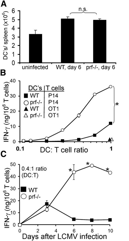 Figure 3. DC numbers and function in WT and prf−/− mice after LCMV infection are shown. (A) Splenic DCs (CD11c+/major histocompatibility class II+ cells) were quantitated in uninfected WT mice, LCMV-infected (day 6) WT, and prf−/− mice (day 6). (B) Splenic DCs were sorted from WT or prf−/− mice 6 days after LCMV infection and cultured with LCMV-specific (P14) or ovalbumin-specific (OT1) CD8+ effector T cells at the indicated ratios. IFN-γ production was measured by ELISA at 24 hours. (C) Splenic DCs were sorted from WT and prf−/− mice at the indicated times after LCMV infection and cultured at a fixed ratio (0.4:1, DC/T cell) with LCMV-specific effector T cells. Data are presented ± standard error. *P < .001. N.S., not significant.