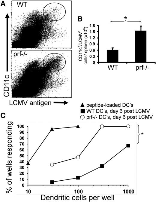 Figure 4. Increased numbers of DCs in prf−/− mice contain viral antigen and present it to T cells after LCMV infection. (A) Example dot plots are shown of live gated spleen cells, analyzed 6 days after LCMV infection, stained for CD11c and LCMV antigens. (B) The total number of LCMV antigen+ DCs (staining above isotype) per spleen in WT and prf−/− mice, 6 days after LCMV infection, is displayed. *P < .01. (C) Splenic DCs were sorted from WT and prf−/− mice 6 days after LCMV infection and cultured in limiting numbers in a high-sensitivity antigen presentation assay with LCMV (GP33)–specific effector CD8+ T cells (see “Methods”). To define the sensitivity of this assay and provide a positive control, a portion of sorted DCs from prf−/− mice were loaded with GP33 peptide and plated in parallel wells. The percentage of individual wells producing measurable IFN-γ at each concentration of DCs is plotted against the number of DCs per well. *P < .01, comparing WT and prf−/− response curves at DC concentrations of 30 to 1000 cells per well.