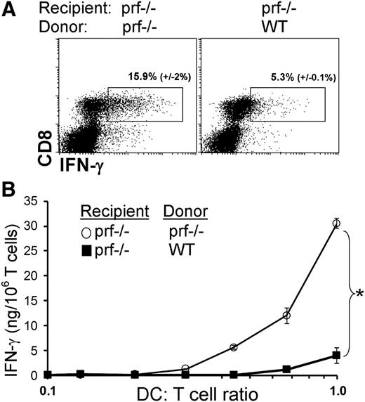 Figure 6. Perforin-expressing CD8+ T cells are sufficient to suppress host T-cell activation in vivo and viral antigen presentation by endogenous DCs. Naive, polyclonal CD8+ T cells from WT or prf−/− donors (CD45.1 congenic) were transferred into prf−/− mice to achieve high levels of donor T-cell chimerism (20% to 30%; see “Methods”). Two weeks later, recipients were infected with LCMV. (A) Seven days after infection, in vivo IFN-γ production by T cells was assessed (as in Figure 1). Live gated, endogenous (host) CD8+ T cells are shown. (B) Antigen presentation by splenic DCs from recipient mice was assessed by sorting DCs 7 days after infection and culturing with LCMV-specific CD8+ T cells. *P < .01.