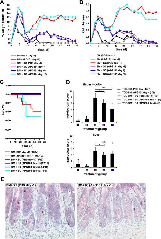Figure 2. APG101 prevents GVHD in a MHC class I and II–mismatched parent → F1 BMT model. (A-E) Lethally irradiated B6D2F1 recipient mice were reconstituted with BM from B6 mice without or with B6-derived spleen cells (SCs) and were treated with PBS or APG101 starting 1 day before transplantation (day −1) or with APG101 starting 6 (day 6) or 13 days (day 13) after transplantation. Weight reduction (A), GVHD-scores (B), and survival (C) were determined. (C): BM+SC (PBS, day −1) versus BM+SC (APG101, day −1), *P < .05; versus BM+SC (APG101, day 6), **P < .01; versus BM+SC (APG101, day 13), P = .12ns. Surviving animals/total animals treated are indicated in (C). On day 16 after transplantation paraffin sections of ileum, colon, and liver of 7 to 10 animals/treatment group were analyzed for histologic signs of GVHD, that is, inflammation, active caspase-3 (*P < .05, ***P < .001). (D) On day 16 after transplantation active caspase-3 was stained at room temperature on colon sections of BM + spleen cells transplanted mice treated with PBS or APG101 on day −1 (Zeiss Axiphot microscope, Plan-Neofluar objective lens, 20× magnification, 0.50 numeric aperture, JVC-KY-F75U digital camera and DISKUS Version 4.5 software). (E) Data represent the combination of 2 individual experiments.