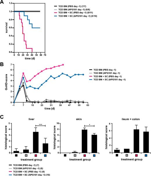 Figure 3. APG101 significantly decreased GVHD-induced death in a minor histocompatibility-mismatched BMT model. (A-C) Lethally irradiated BALB/c recipient mice were reconstituted with TCD BM from B10.D2 mice with or without B10.D2-derived spleen cells (SCs) and were treated with PBS or APG101 starting 1 day before transplantation (day −1). Survival (A) and GVHD-scores (B) were determined and surviving animals/total animals treated are indicated in panel A. TCD BM+SC (PBS) versus TCD BM+SC (APG101; ***P < .001). Histologic signs of GVHD in liver, skin, and intestine of 6 to 10 animals/ treatment group were either determined the day mice were killed because of their moribund state and for all surviving mice at the end of the experiment. Data are from 1 experiment performed.