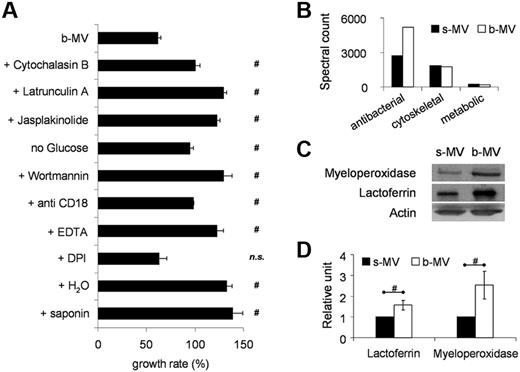 Figure 4. Characterization of the antibacterial effect of b-MVs. (A) Effect of various inhibitors (cytochalasin B 10μM; latrunculinA 10μM; jasplakinolide 1μM; wortmannin 300nM; all added 5 minutes before incubation), absence of glucose or presence of blocking CD18-antibodies (clone TS1/18), or 1mM EDTA or 1μM DPI or pretreatment with distilled water or with saponin (1 mg/mL) on antibacterial effect of b-MVs. Change in S aureus growth was measured after 30 minutes incubation with the indicated sample. 100% represents the initial bacterial count that did not change in the absence of nutrients, but increased during the 30 minutes incubation period when inactive or destroyed vesicles were present. It was controlled that inhibitors in the applied concentration and time as well as absence of glucose by themselves did not affect bacterial growth. Bars and points indicate mean, ± SEM, n = 4; #P < .05. (B) Proteomic analysis of the contents of PMN-derived MVs. Equal amount of total protein was analyzed in the different samples. Proteins were ranked by spectral count.32 (C) Western blot of lactoferrin and myeloperoxidase of s-MVs and b-MVs produced by 2 × 107 PMNs. Actin is shown as loading control. (D) Densitometric analysis of lactoferrin and myeloperoxidase signal related to total protein content of MVs (± SEM; n = 5); #P < .05. See also supplemental Tables 1 and 2.
