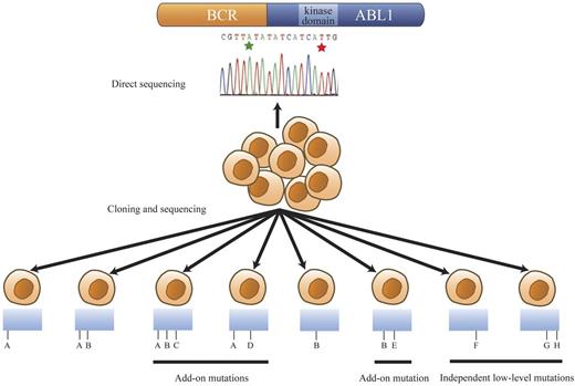 Figure 2. Mutational patterns revealed by cloning and sequencing of the BCR-ABL1 kinase domain region. Hypothetical mutation identities are designated A through H for discussion/explanation purposes. The range of mutation patterns revealed by cloning and sequencing when 2 BCR-ABL1 kinase domain mutations, A and B (green and red stars in the trace), are detected by direct sequencing are represented. This model encompasses all observed mutational patterns among the patients with 2 mutations evident by direct sequencing in this study. Detection of mutations A and B by direct sequencing can reflect their presence in the same BCR-ABL1 molecule (detected in 1 clone) or in different BCR-ABL1 molecules (detected in separate clones). The presence of both A and B in the same or different clones is signified as A/B or as A and B, respectively. In some compound mutant patients, clone A and clone B were observed separately in addition to clone A/B. Mutation A or B was sometimes coexistent with add-on mutations, for example, A/D and B/E. Predominant compound mutants could also acquire further add-on mutations as exemplified by A/B/C. Some mutations, such as F (single independent low-level mutants) or G/H (compound independent low-level mutants), were observed in clones that did not carry either predominant mutation, A or B.