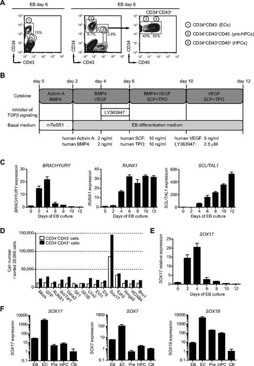 Figure 1. Screening of genes that promote expansion of hematopoietic cells from hESCs/hiPSCs. (A) Hematopoietic fractions derived from hESCs in EB culture used in this study. (B) Schematic representation of the protocol modified for efficient induction of pre-HPCs/HPCs from hESCs/hiPSCs in EB culture. (C) Expression of BRACHYURY, RUNX1, and TAL1/SCL expression during differentiation of hESCs in EBs determined by quantitative RT-PCR analysis. mRNA levels were normalized to GAPDH expression. Expression levels relative to that in hESCs (day 0 of EB culture) are shown as the means ± SD for triplicate analyses. (D) Cell growth of CD34+CD43− cells from day 6 EBs and CD34+CD43+ cells from day 8 EBs. EBs were formed by suspension culture of hiPSCs. Sorted cells (2 × 104) were transduced with the indicated hematopoietic regulator genes and cultured on OP9 cells in the presence of 20 ng/mL of SCF and TPO. At day 14 of culture, the absolute numbers of cells were determined and are indicated in bars. Representative data from repeated experiments are shown. (E) Expression of SOX17 during differentiation of hESCs in EBs determined by quantitative RT-PCR analysis. mRNA levels were normalized to GAPDH expression. Expression levels relative to that in hESCs (day 0 of EB culture) are shown as the means ± SD for triplicate analyses. (F) Expression of SOX17, SOX7, and SOX18 in bulk EB cells, CD34+CD43− cells (ECs), CD34+CD43+CD45− cells (pre-HPCs), and CD34+CD43+CD45+ cells (HPCs) from day 8 EBs determined by quantitative RT-PCR analysis. mRNA levels were normalized to GAPDH expression. Expression levels relative to those in CB CD34+ cells are shown as the means ± SD for triplicate analyses.