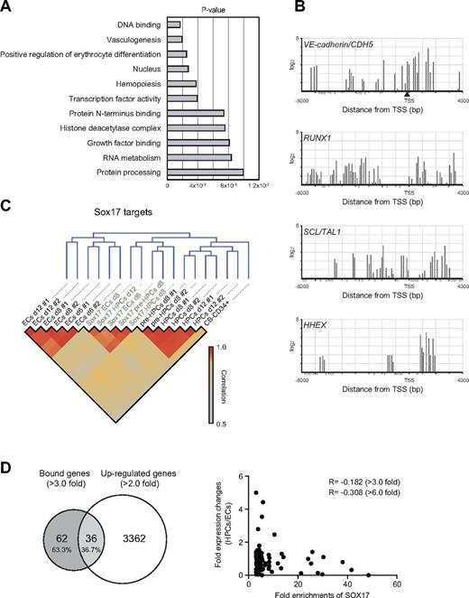 Figure 6. Targets of SOX17 detected by ChIP-on-chip analysis. (A) GO analysis of the Sox17 targets detected by ChIP-on-chip analysis. CD34+CD43− cells from day 6 EBs were transduced with a 3× Flag SOX17-ERT retrovirus. The cells were further cultured on OP9 cells in the presence of 20 ng/mL of SCF and TPO and 200nM 4-OHT. CD34+ cells were collected at day 27 of culture and subjected to ChIP-on-chip analysis. P for each GO term is indicated. (B) ChIP-on-chip profile of SOX17 occupancy at genes related to hematopoietic development from HE cells. Plot under the x-axis shows the position of probe sets. Arrowhead at the VE-cadherin/CDH5 promoter indicate consensus motif of Sox17-binding site. (C) Gene-expression patterns of wild-type and engineered cells obtained in microarray analyses clustered using hierarchical clustering. Distance between 2 samples was defined with the Pearson correlation of Sox17 target genes with Sox17 binding more than 3-fold in the ChIP-on-chip analysis presented in supplemental Table 2. The color of each cell represents the value of correlation indicated on the right side of the matrix. (D) Comparative analysis of ChIP-on-chip and microarray data. Venn diagrams showing the number of genes bound by Sox17 (> 3-fold enrichment) and the number of genes up-regulated in expression more than 2-fold in at least 1 cell type among ECs, pre-HPCs, and HPCs on overexpression of Sox17 (Sox17-overexpressing CD34+CD43+CD45−/low cells compared with those of respective fresh controls; left panel). The percentages of overlapping and nonoverlapping bound genes are indicated in parentheses. Shown are the correlation of Sox17 binding (fold enrichment) in ChIP-on-chip analysis and the fold changes in expression during differentiation of ECs to HPCs (right panel). The fold enrichments and fold changes in expression were plotted for 84 genes of 98 showing enrichments greater than 3-fold (the microarray data were not available for the remaining 14 genes). Correlation coefficients (R) are indicated for genes with fold enrichment greater than 3- and 6-fold, respectively.