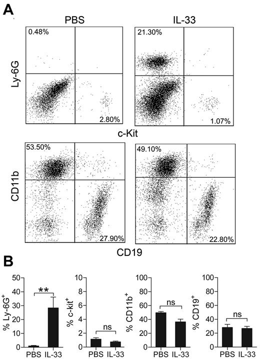Figure 3. Intraperitoneal administration of IL-33 causes neutrophil influx in C57BL/6 mice. (A) Wild-type C57BL/6 mice were injected intraperitoneally with PBS or 0.1 μg IL-33 and peritoneal cells were analyzed 6 hours later by flow cytometry. Neutrophils are represented by a Ly-6G+ population (a neutrophil specific clone of the Ly-6G antibody was used: 1A8), mast cells by a c-Kit+ population, macrophages by a CD11bhigh population and B cells by a CD19+ population. (B) Quantification of panel A; results are presented as percentage of total peritoneal cells in peritoneal lavage obtained from injected mice. In panel A, representative plots are shown. Values are presented as mean ± SEM (n = 4-5) **P < .01. ns = not significant.