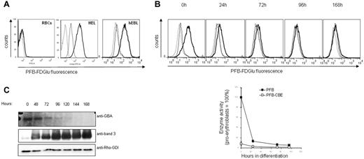 Figure 1. GC activity and expression in RBCs and during erythropoiesis. Erythroblasts expanded from peripheral blood mononuclear cells (PBMCs) were differentiated as indicated in “Methods.” (A) GC activity was detected in human primary erythroblasts, but not in RBCs. GC activity was detected by flow cytometry, using cells treated with the PFB-FDGlu substrate (1mM) or DMSO for 30 minutes. The fluorescence histograms were overlaid to indicate the relative fluorescence levels of each sample. The dotted line represents DMSO-treated cells, the bold line represents cells incubated with the PFB-FDGlu substrate, and the straight line represents cells pretreated with the GC inhibitor CBE (1 hour, 1mM) before substrate incubation. (B) GC activity is rapidly decreasing during erythroblast differentiation. PFB-FDGlu substrate geometric mean fluorescence intensity (MFI) was measured at the indicated time points, and was normalized to the activity of GC in erythroblasts that was set at 100%. Standard deviation represents the variation between 4 independent experiments. The histogram overlays show representative figures of GC activity during erythroblast differentiation (dotted line = DMSO-control; bold line = PFB-FDGlu substrate; straight line = PFB-FDGlu substrate + CBE). (C) Aliquots were taken at the indicated time points and proteins were separated by SDS-PAGE. Blots were stained with antibodies against GC and band 3, and with an antibody to Rho-GDI as a loading control.