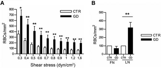 Figure 3. Adhesion of GD and CTR RBCs to purified laminin α5 under flow conditions. (A) Blood samples were from 18 healthy CTRs and 18 GD patients. Number of RBCs remaining adherent to purified laminin α5-coated microslide after inflow at 0.3 dyn/cm2 and washout at increasing shear stresses. Bars denote SEM (*P < .05; **P < .01; Mann-Whitney test). (B) Increased GD RBC adhesion compared with CTR RBCs is specific to laminin α5 and not to fibronectin (after inflow at 0.2 dyn/cm2 and increasing washout until 1 dyn/cm2, P < .01; ANOVA followed by Dunn multiple comparison test). Blood samples were from 4 healthy CTRs and 4 GD patients. GD RBCs were more adherent to laminin than CTR RBCs.