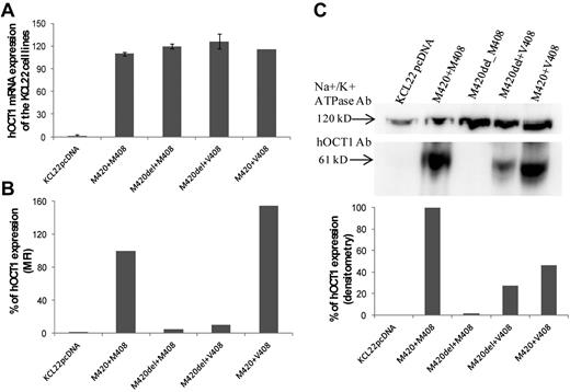 Figure 4. hOCT1 mRNA and protein expression. (A) hOCT1 expression for the hOCT1 variants in relation to the mock-transfected cells (KCLpcDNA). (B-C) Protein expression carried out by flow cytometry (B) and Western blotting with densitometry (C, which also shows blots with their loading control, Na+/K+ ATPase). In both panels B and C, data are expressed relative to the undeleted M420+M408 line, which was arbitrarily defined as 100%.