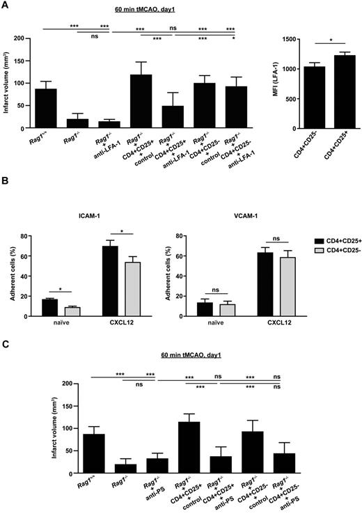 Figure 6. Tregs interact with cerebral endothelial cells and platelets to promote ischemic neurodegeneration after stroke. (A left) Purified CD4+CD25+ (750 000) Tregs or CD4+CD25− non-Tregs were transferred into Rag1−/− mice 24 hours before 60 minutes of tMCAO in the presence of anti–LFA-1 blocking Abs or control Abs. Infarct volumes were determined on day 1. Blocking of LFA-1 reversed the stroke-enhancing effect of CD4+CD25+ Tregs but not of CD4+CD25− non-Tregs in Rag1−/− mice. Right, circulating CD4+CD25+ Tregs express higher amounts of LFA-1 than CD4+CD25− non-Tregs on day 1 after 60 minutes of tMCAO. MFI indicates mean fluorescence intensity. (B) In vitro binding capacity to ICAM-1 (left) but not VCAM-1 (right) is more pronounced in CD4+CD25+ Tregs than in CD4+CD25− non-Tregs both under basal conditions and after stimulation with CXCL12. (C) Purified CD4+CD25+ (750 000) Tregs or CD4+CD25− non-Tregs were transferred into Rag1−/− mice 24 hours before 60 minutes of tMCAO. Rag1−/− mice were treated with antiplatelet serum to deplete circulating platelets or controls serum and infarct volumes were determined on day 1. Depletion of platelets reversed the stroke-enhancing effect of CD4+CD25+ Tregs and also of CD4+CD25− non-Tregs in Rag1−/− mice. *P < .05 and ***P < .0001 between the indicated groups; ns indicates not significant.