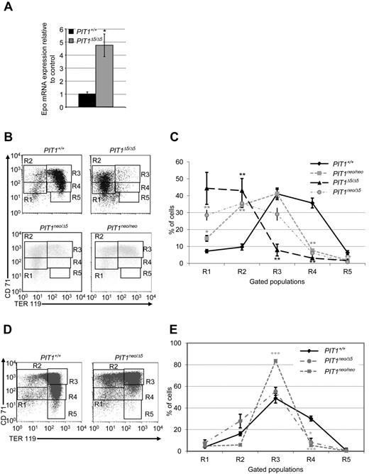 Figure 3. Disruption of PIT1 delays erythroid maturation in E12 and E14 fetal livers. (A) Quantification of Epo mRNAs in PIT1+/+ and PIT1Δ5/Δ5 E12 fetal livers by real-time PCR. Data indicate the means ± SEM of 5 animals per genotype. Significant differences from control (black bar) are indicated. *P < .05. (B,D) Representative flow cytometric analysis of E12 fetal liver cells from PIT1+/+, PIT1neo/neo, PIT1neo/Δ5, and PIT1Δ5/Δ5embryos (B) and E14.5 fetal liver cells from PIT1+/+, PIT1neo/Δ5 and PIT1neo/neo embryos (D). R1-R5 populations correspond to erythroid cells at different stages of maturation. Percentages of labeled cells were calculated by taking into account the background labeling (baseline defined by omitting Ab). (C,E) Analysis of percentage of E12 (C) and E14.5 PIT1+/+ (black diamonds), PIT1neo/neo (gray squares), PIT1neo/Δ5 (gray circles) and PIT1Δ5/Δ5 (black triangles) fetal liver erythroid cells (E) in the different stages of maturation. Data indicate the means ± SEM of at least 3 independent experiments. Significant differences from PIT1+/+ are indicated. *P < .05; **P < .01; ***P < .001.