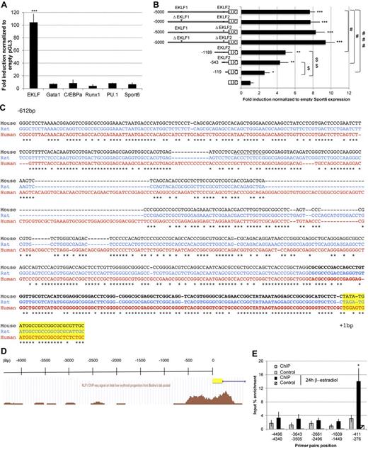 Figure 4. EKLF transactivates the mouse PIT1 promoter. (A) Luciferase assay on PIT1 5000-bp wild-type promoter. Results are expressed as the fold induction normalized with the empty pGL3-vector. Data indicate the means ± SEM of at least 3 independent experiments. Significant differences from Sport6 vector are indicated. ***P < .001. (B) Luciferase assay on PIT1 5000-bp wild-type promoter, EKLF binding site mutants, and wild-type promoter shorter constructs. Results are normalized with empty sport6 expression vector for each construct and are expressed as the fold induction. Data indicate the means ± SEM of 4 independent experiments. Significant differences from pGL3 (*P < .05; **P < .01; ***P < .001), from the mouse PIT1 wild-type promoter (#P < .05; ###P < .001), and from the −119-bp construct ($P < .05; $$P < .01) are indicated. (C) Phylogenetic alignment of the 600 proximal bp of the PIT1 promoter. Underlined sequence indicates EKLF2 consensus binding site, bold sequence indicates −119-bp construct, and highlighted sequence indicates the beginning of the PIT1 gene. Asterisks indicate nucleotide identities between the 3 species. (D) EKLF occupancy in the mouse PIT1 promoter using the UCSC browser as described by Bodin et al.33 (E) Quantitative PCR analysis of EKLF ChIP experiments. EKLF-immunoprecipitated DNA from G1E-ER-Gata1 cells treated or not with β-estradiol for 24 hours were analyzed by quantitative PCR using primers located along the mouse PIT1 promoter. Negative controls were performed using DNA incubated with beads but without anti-EKLF Ab. Means ± SEM of 4 experiments are presented. Significant differences from negative control are indicated. *P < .05.