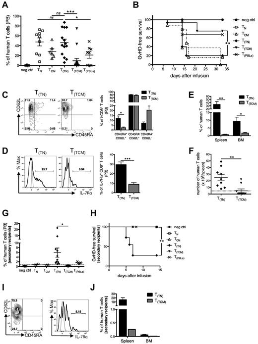 Figure 4. T(TN) cells engraft, expand, and exhibit xenoreactivity and self-renewing ability on transfer into immunodeficient mice. NOD/Scid mice were conditioned, infused IP with 5 × 106 human T lymphocytes, and followed for human chimerism and incidence of severe GVHD. (A) Flow cytometric analysis of human chimerism on peripheral blood (PB) at week 2 after infusion. (B) Mice were followed for severe GVHD-free survival over time (defined as weight loss greater than 5% concomitant to human chimerism greater than 10%). (C) Expression of CD45RA and CD62L on circulating human CD8+ T cells 2 weeks after infusion. FACS plots from representative T(TN)– and T(TCM)–infused mice (left) and average histograms (right) are shown. (D) Expression of IL-7Rα on circulating human CD8+ T cells from T(TN)– and T(TCM)–infused mice: representative plot (left) and average histograms (right). Gray histograms represent fluorochrome-matched isotype controls. (E) Percentages of human T cells retrieved from spleen and BM of T(TN)– and T(TCM)–infused mice at sacrifice. (F) Absolute numbers of human T cells retrieved per spleen of T(TN)– and T(TCM)–infused mice at sacrifice. The dashed line indicates the number of cells infused. (G) Results of serial transplantation experiments; 5 × 106 BM- and spleen-retrieved human T cells from first transplantation were infused into secondary recipients and human chimerism on PB was assessed 1 week after infusion. (H) GVHD-free survival in secondary recipients. (I) Representative plots of CD45RA/CD62L phenotype (left) and IL-7Rα (right) on circulating CD8+ T cells from T(TN) secondary recipients. (J) Human chimerism on BM and spleen at sacrifice.