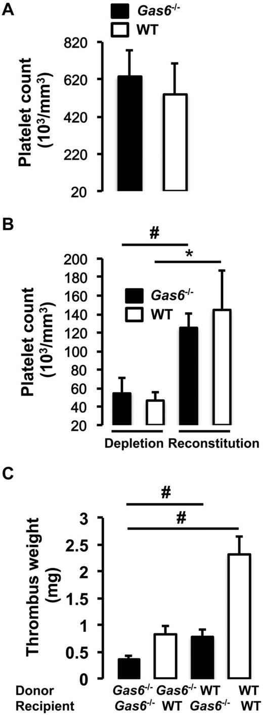 Figure 3. Equal contribution of platelets and vascular Gas6 to thrombus generation. (A) Platelet counts were equivalent in whole blood drawn from WT and Gas6−/− mice. (B) Platelet depletion was achieved by injection of rabbit anti–mouse thrombocyte serum. Platelet counts were successfully reduced by injection of rabbit anti–mouse thrombocyte serum and successfully restored after injection of platelets from a donor mouse to thrombocytopenic mice (n = 4). *P < .05, WT depleted versus WT reconstituted. #P < .05, Gas6−/− depleted versus Gas6−/− reconstituted. (C) Thrombosis was induced in the 4 groups of mice generated by the platelet depletion/reconstitution as indicated in the figure. WT or Gas6−/− mice receiving Gas6−/− or WT platelets, respectively, had thrombi of intermediate weight, similar to the results the bone marrow transplantation experiments (n = 4 or 5). #P < .001.